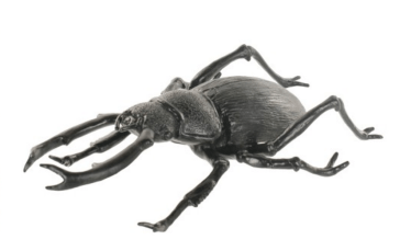 Screen Shot 2017-10-22 at 1.51.24 PM