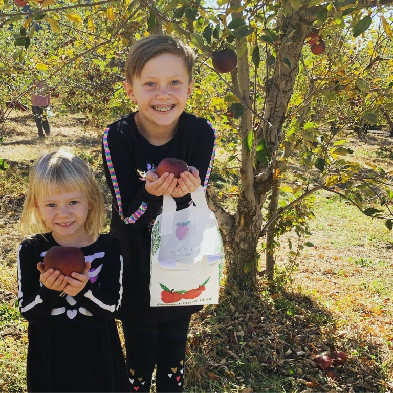 4260F3D9-34AB-410B-9F30-00E17C726628