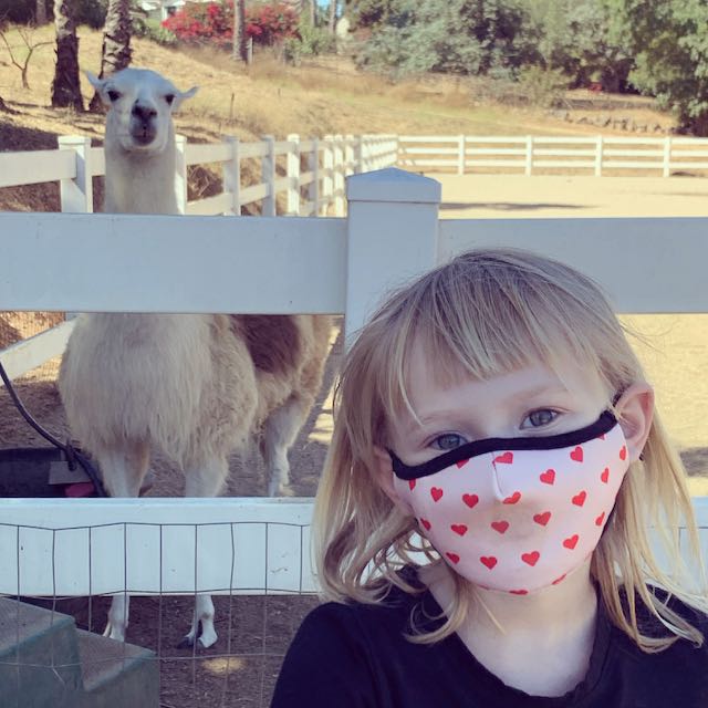 3BA38145-D20F-4005-B19C-958F037ADCDC