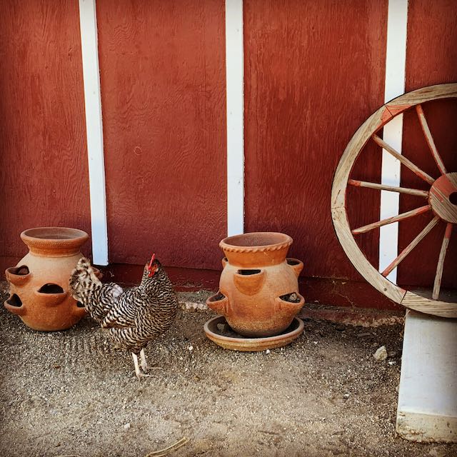 44630130-4FFA-4656-96EA-5A6BCD88F7C3